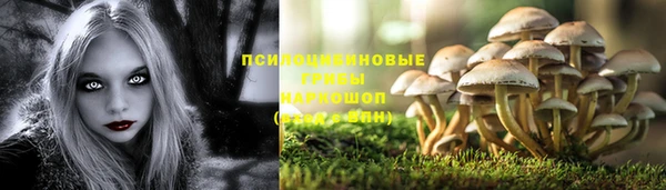 ешки Нягань