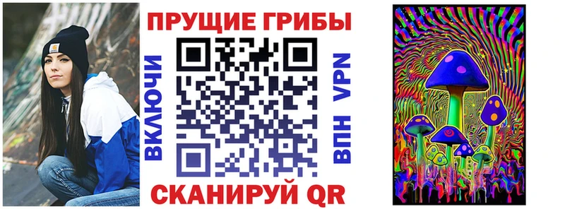 Галлюциногенные грибы Psilocybe  Калининск 